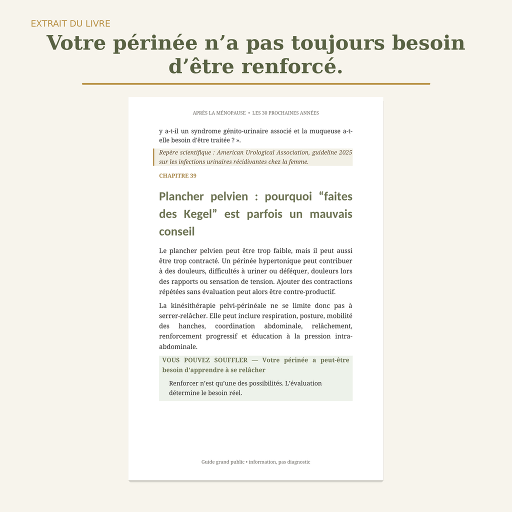 Illustration du plancher pelvien et du confort intime après la ménopause